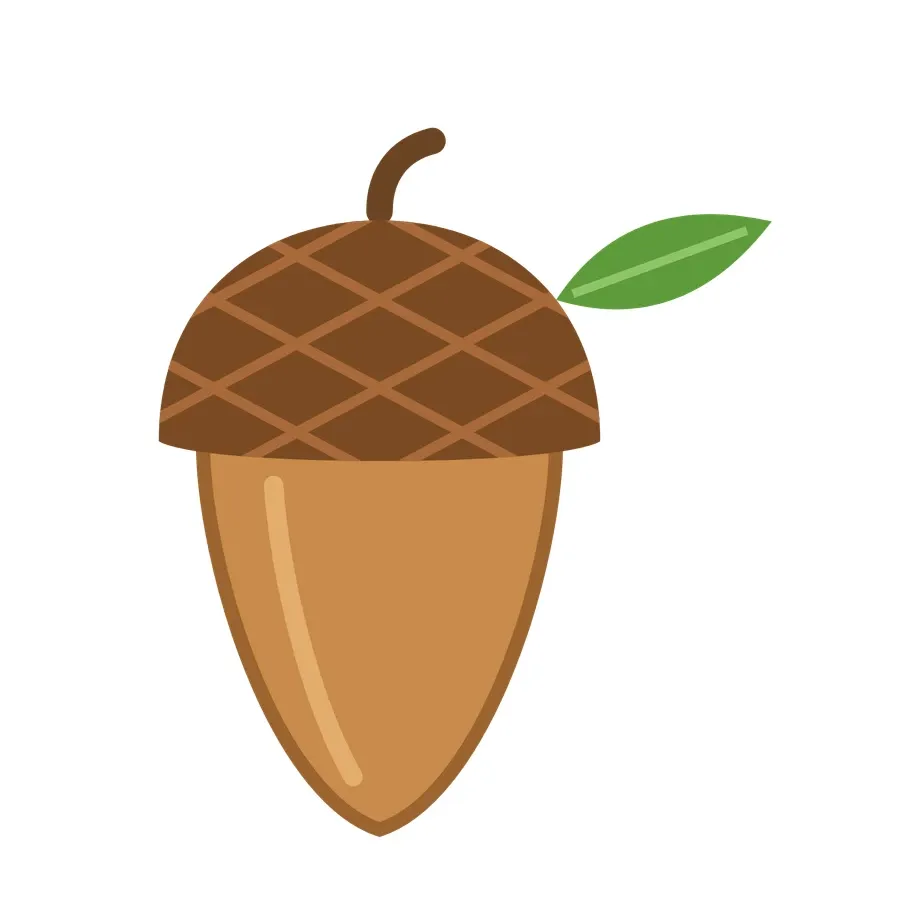 Acorn artwork