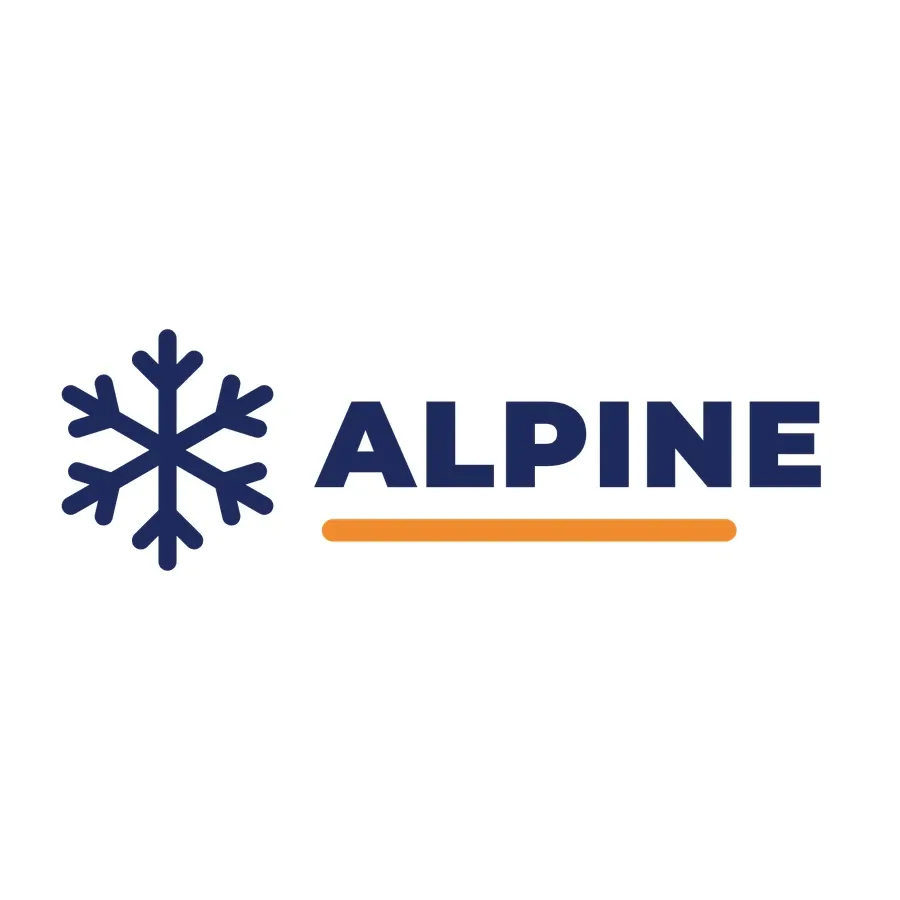 Original snowflake beanie logo artwork
