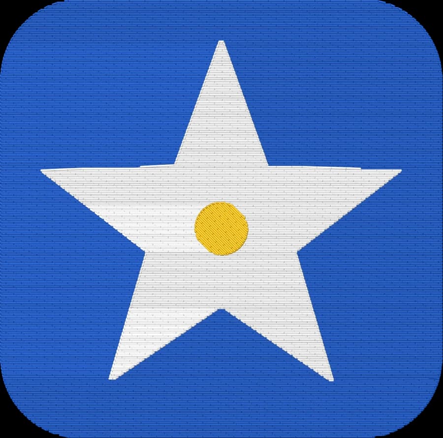 star icon embroidered